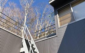 Away From Noise,View Fuji Mt In The Designer House